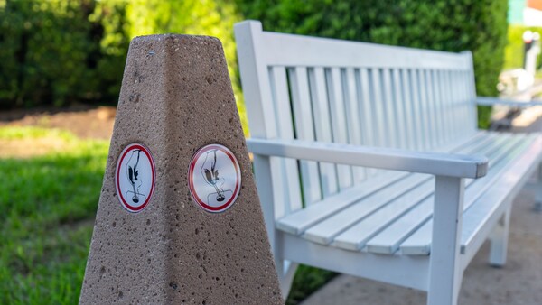 Un banco de madera y un receptáculo para colillas de cigarrillos en Disney’s Yacht Club Resort