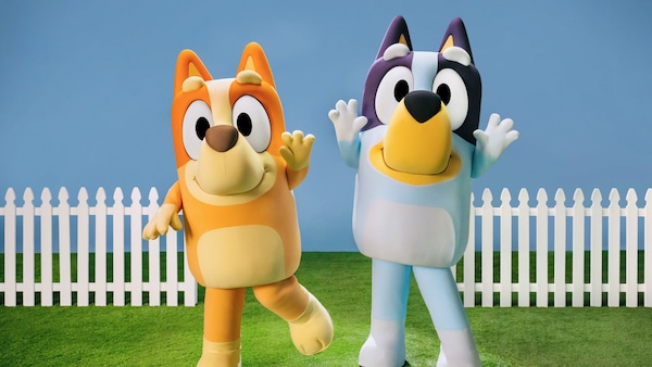 Bingo and Bluey wave hello by a picket fence