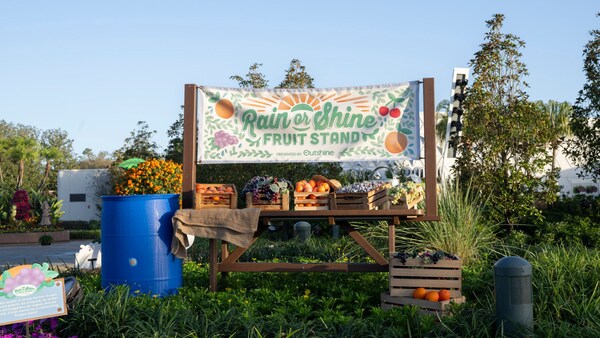 A section of the Rain or Shine Fruit Stand presented by Outshine during the Epcot International Flower and Garden Festival