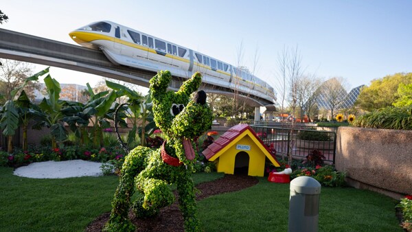 A pet friendly garden featuring a Pluto topiary near a section of the Epcot Monorail 	