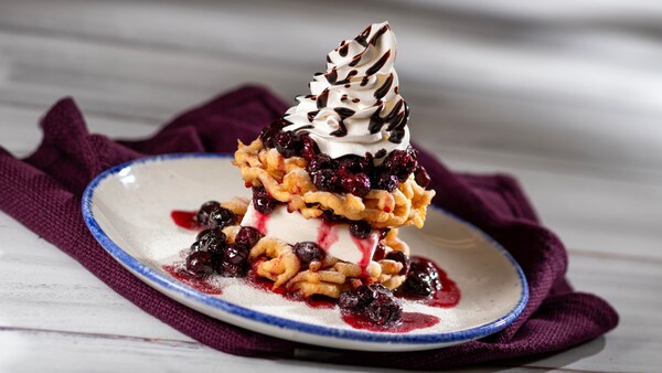 A Wild Berry Funnel Cake from Funnel Cake at the Epcot International Festival of the Arts