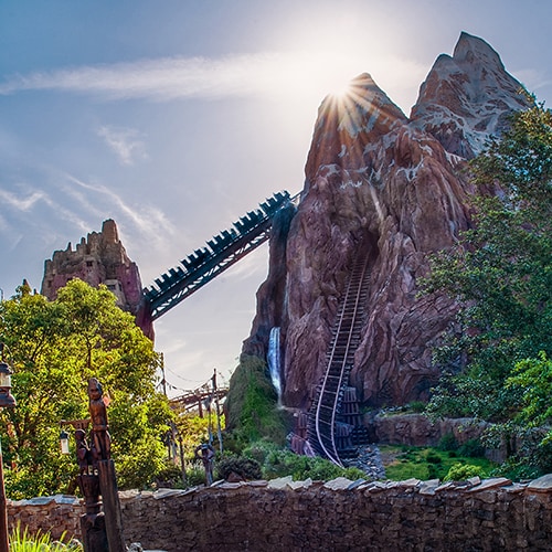 A train ascending a hill at Expedition Everest, Legend of the Forbidden Mountain