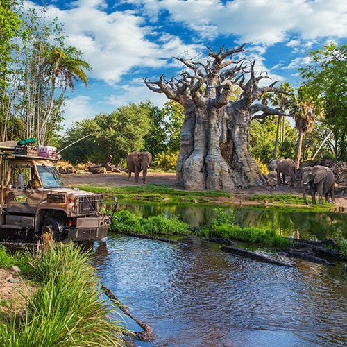 An open-air safari bus drives in a river past 3 elephants