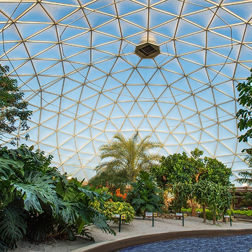 The greenhouse dome in Living with the Land at Epcot
