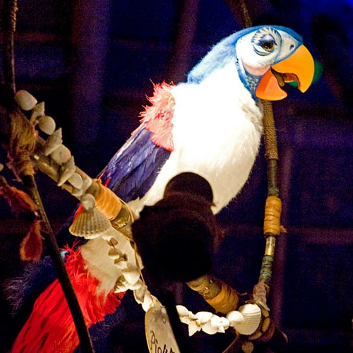 A singing parrot at Walt Disney’s Enchanted Tiki Room