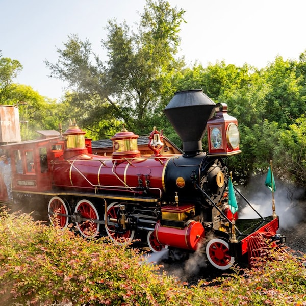 The Walt Disney World Railroad at the Fantasyland station	