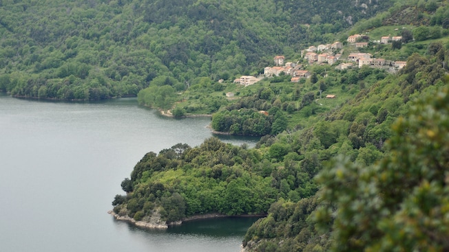A series of tile roofed buildings terrraced into a verdant mountain landsape next to the water