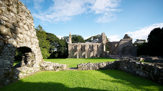Grass growing amid the stone ruins of a medieval monastery Grass growing amid the stone ruins of a medieval monastery