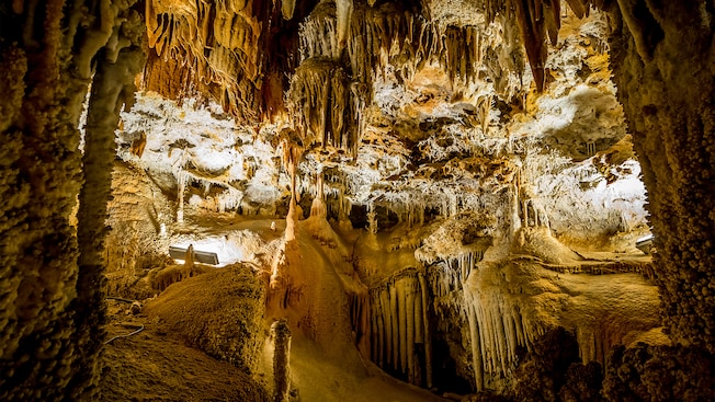Una cueva con formaciones rocosas
