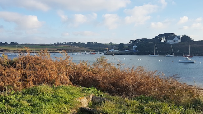 Una bahía llena de botes pesqueros y de recreo Una bahía llena de botes pesqueros y de recreo