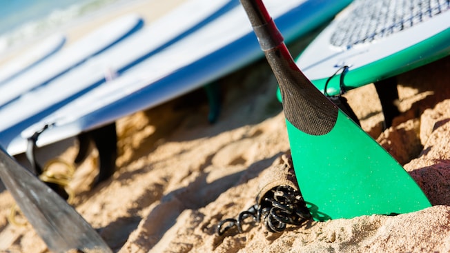 Two paddles are planted in the sand near a row of stand up paddle boards Two paddles are planted in the sand near a row of stand up paddle boards