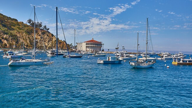 Small pleasure boats docked in the waters near a circular art deco building