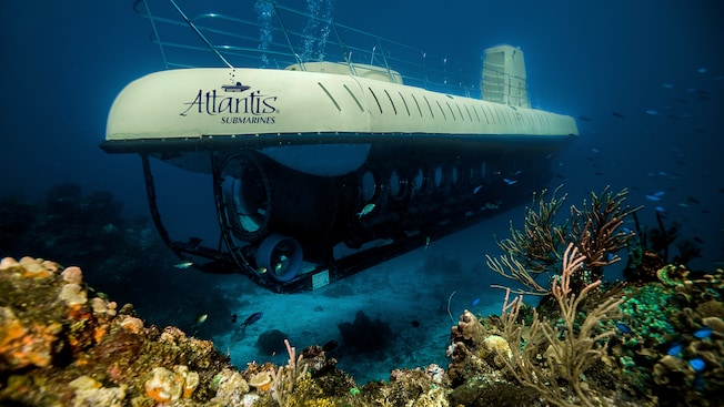 The submarine traveling by tropical fish and coral formations The submarine traveling by tropical fish and coral formations