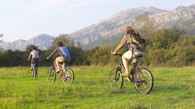 3 bicyclists riding through a verdant countryside 3 bicyclists riding through a verdant countryside