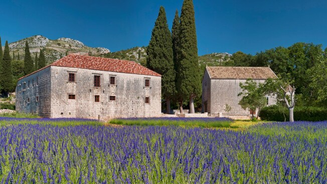 A stone monastery situated next to a lavender field