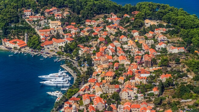 Vegetation surrounding a coastal village fronting a harbor with fishing boats and yachts