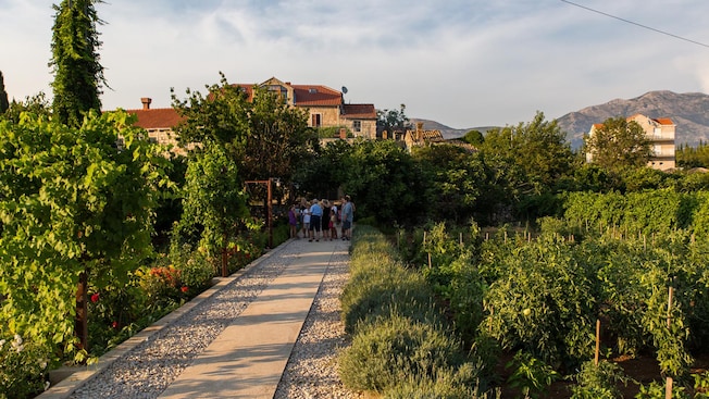 A verdant walkway leading to a stone farmhouse A verdant walkway leading to a stone farmhouse