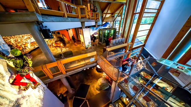 Los visitantes de un museo ven exposiciones en 3D sobre renos, escalada y geografía.