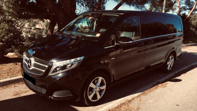 Una furgoneta de lujo estacionada junto a unos árboles con vista a una ciudad