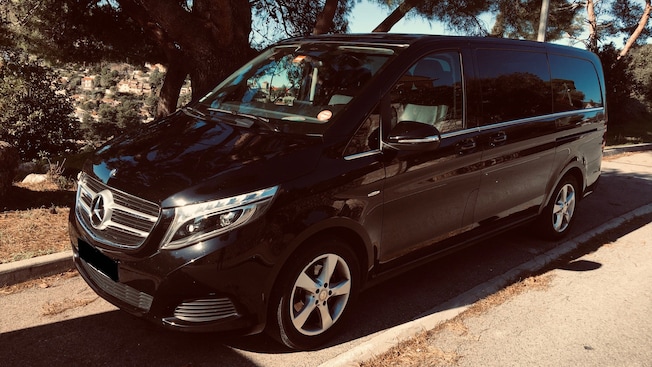 A luxury van, parked by some trees overlooking a city A luxury van, parked by some trees overlooking a city