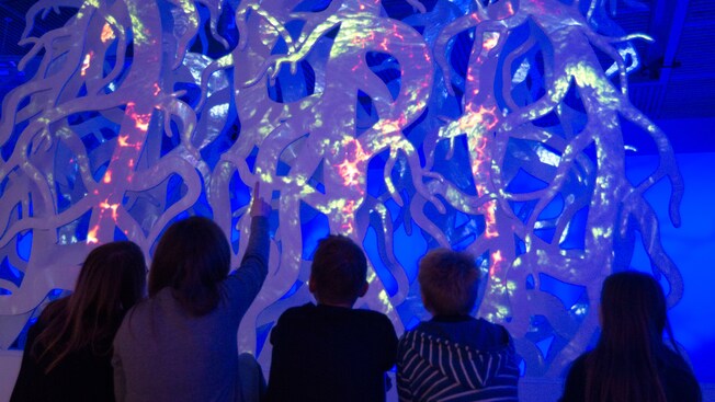 Un grupo de niños maravillados ante los diseños elaborados en una pared