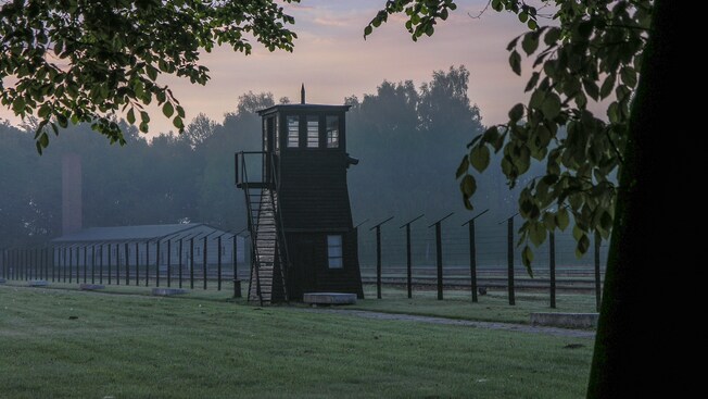 Trees surrounding an encampment with a vintage guard tower