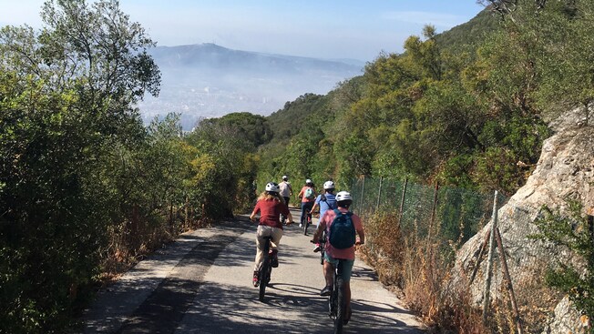 A group of people bike riding downhill on a path lined with vegetation.