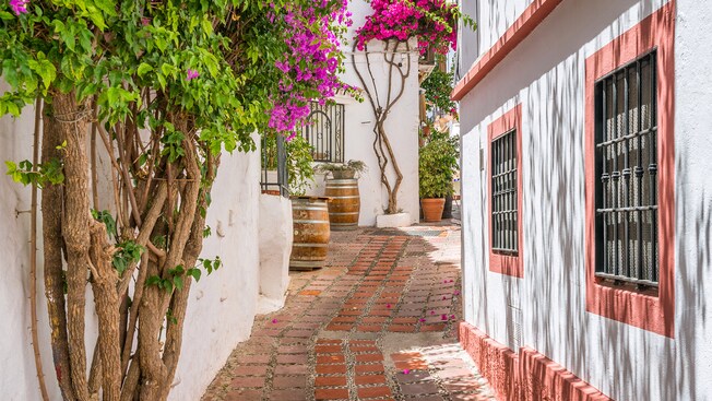 Uma passagem estreita de tijolos alinhada com casas espanholas, buganvílias e barris de madeira