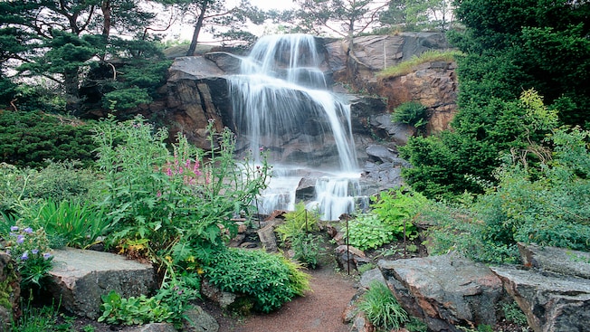 A waterfall in a lush garden setting A waterfall in a lush garden setting