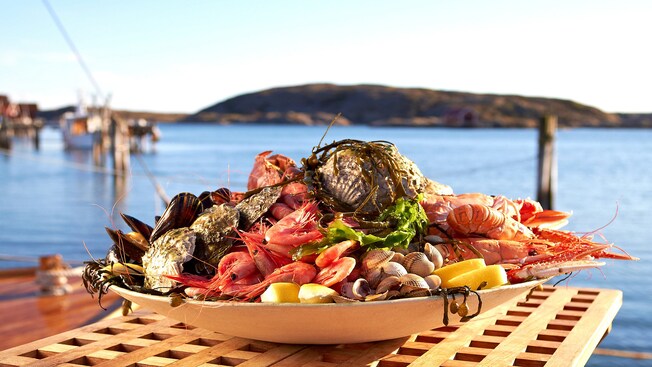 A plate of oysters, shrimp and seafood