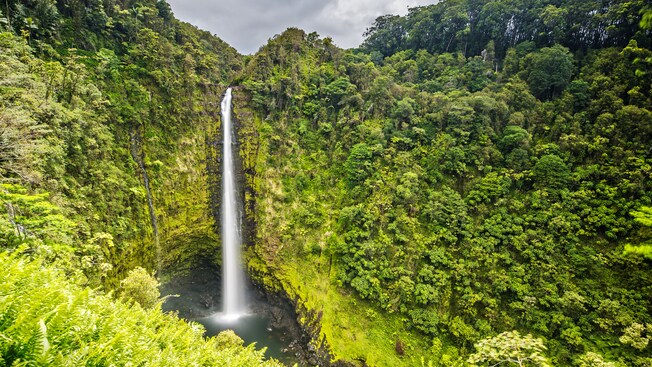 A lush tropical setting with a dramatic waterfall