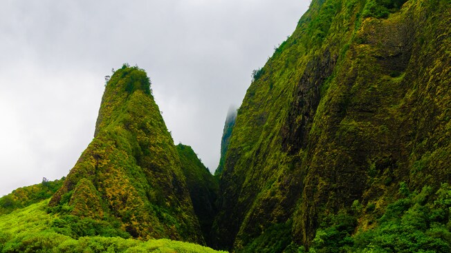 A lush peak situated next to a verdant mountainside