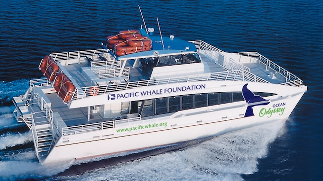 Un barco turístico de 2 niveles con las palabras Pacific Whale Foundation Un barco turístico de 2 niveles con las palabras Pacific Whale Foundation