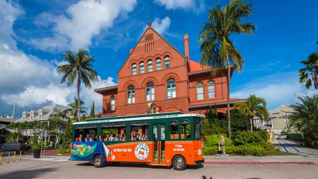 Guests traveling in an open air vehicle for a guided tour