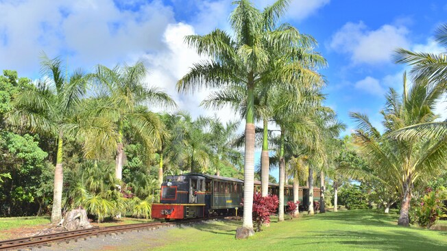 Un tren sobre las vías del tren ubicado cerca de árboles y un campo