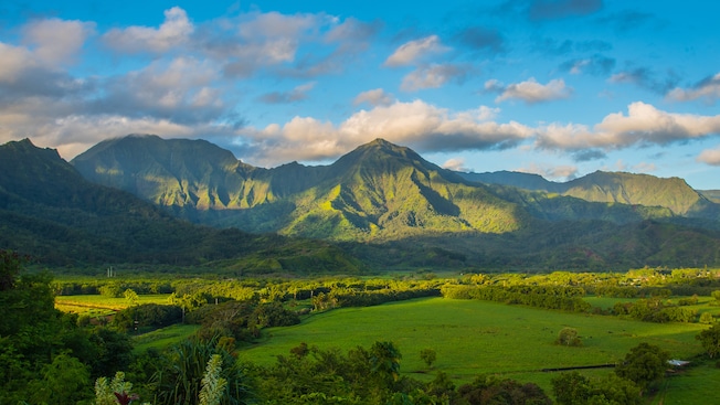 A lush tropical landscape with mountains