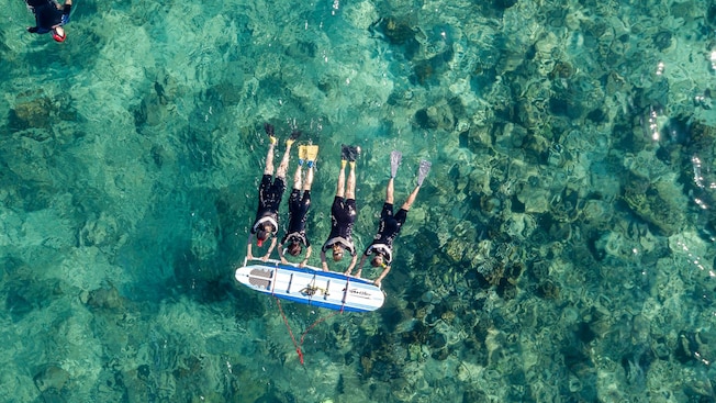 4 snorkelers hold onto a surf board near another snorkeler