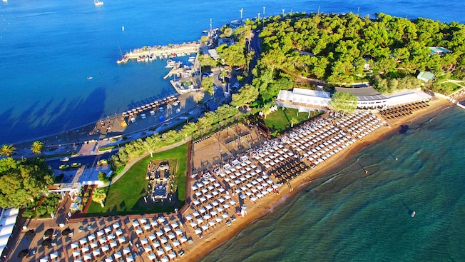 A strip of beach with umbrellas, trees and a grassy area A strip of beach with umbrellas, trees and a grassy area