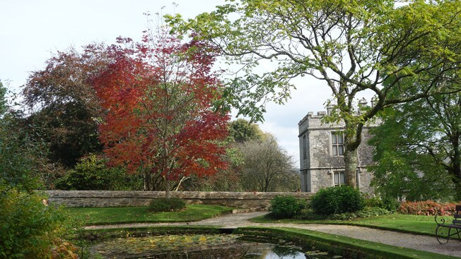 Trees surrounding a pond and walkway near a stone manor house