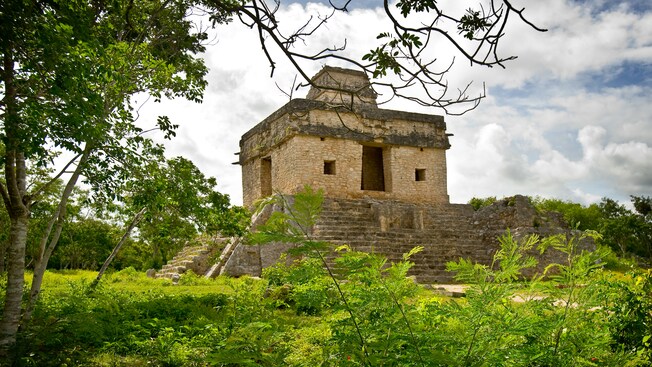 Árvores e plantas frondosas ao redor das ruínas de uma pequena pirâmide maia Árvores e plantas frondosas ao redor das ruínas de uma pequena pirâmide maia