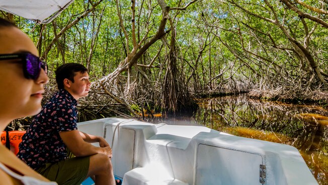 Two people sit in a boat, enjoying the beautiful scenery of the Celestun Wildlife Refuge on their Pink Flamingos Lagoon Boat port adventure