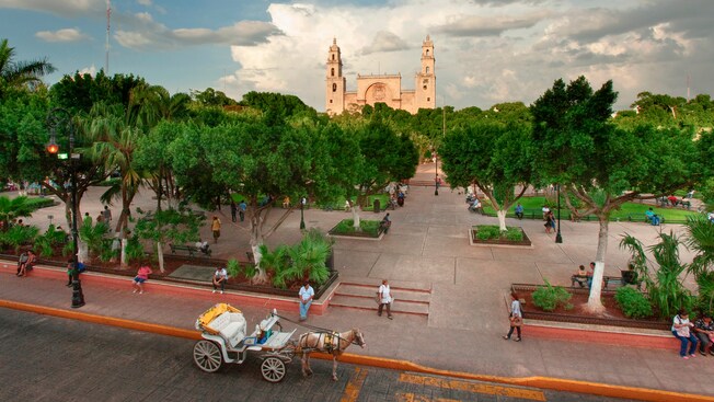 A beautiful park with many trees, with a horse and carriage in the foreground and a stately building in the background