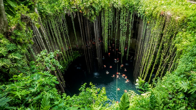 Personas nadan en el agua fresca de un cenote natural rodeado de vides Personas nadan en el agua fresca de un cenote natural rodeado de vides