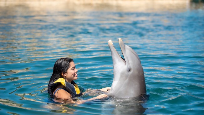 A woman in the water holding on to the fins of a dolphin