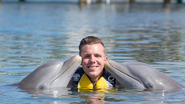 2 dolphins kissing a man on each cheek while he stands in neck deep water 2 dolphins kissing a man on each cheek while he stands in neck deep water