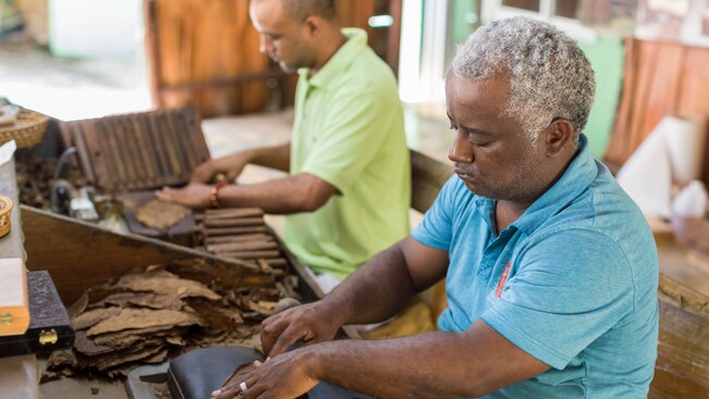 A man rolling cigars