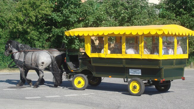 Dos caballos tiran de un carruaje