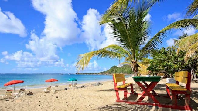 A tropical beach with palm trees, lounge chairs, umbrellas and a picnic table A tropical beach with palm trees, lounge chairs, umbrellas and a picnic table