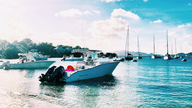 A speedboat anchored near a shoreline A speedboat anchored near a shoreline