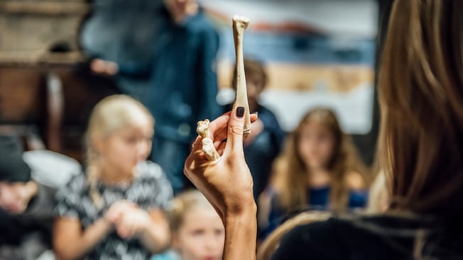 A woman's hand holding a fossilized bone up to a group of people A woman's hand holding a fossilized bone up to a group of people